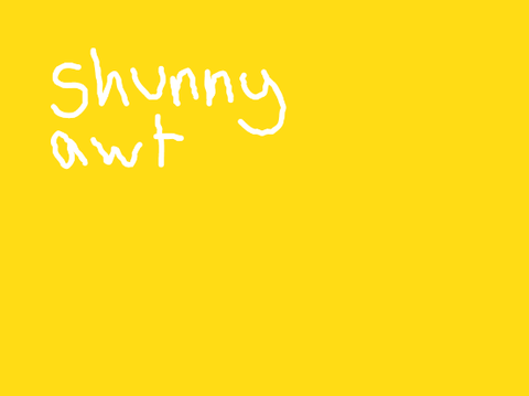 shunny awt