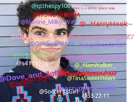 Remix and sign if you miss Cameron Boyce