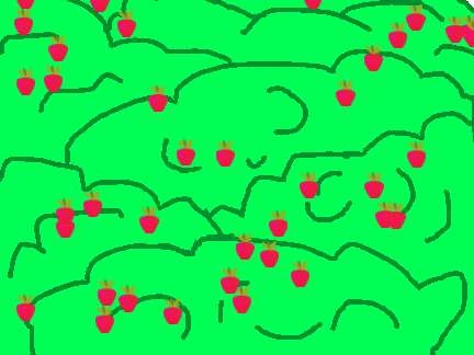 Find the strawberry!(✿◕‿◕✿)
