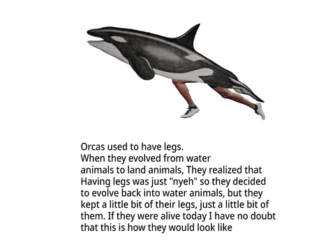 What Orcas used to look like