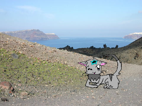 Remix this project and make your own Warrior Cat!