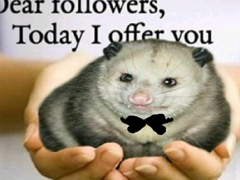 I have no content to post aaA take the possum