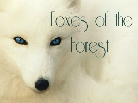 Foxes of the Forest RPG (Akira)