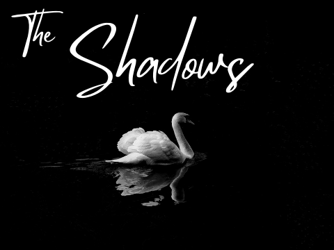 The Shadows | A Writing Contest Entry