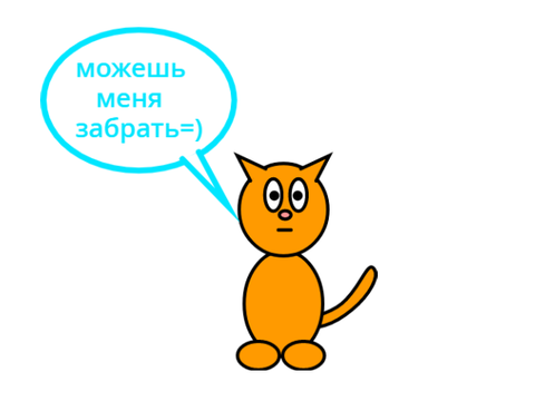 Котёнок