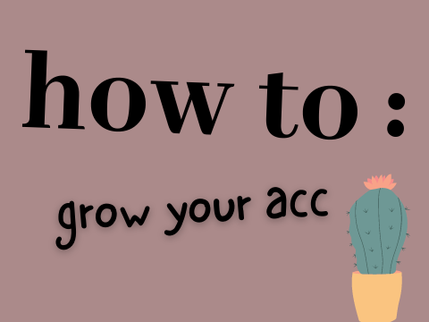 growing your account ˎˊ-