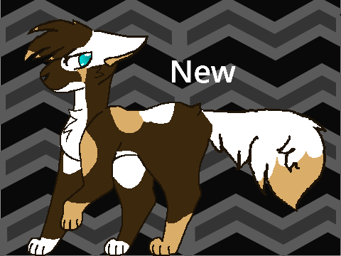 New Moonfeather look 