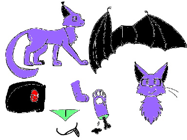 Dragon winged cat  Spark