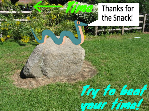 Lesson 9: Snake