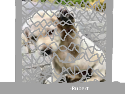 HELP THEM remix and sign this to save these animals