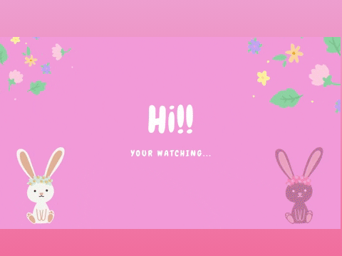 @zbunnylover Intro!!