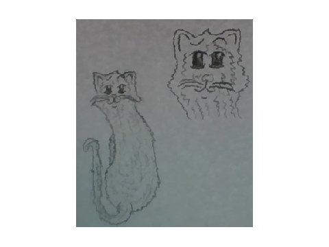 I drew a cat because I was bored