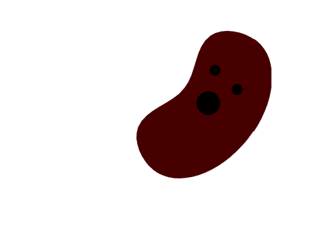 Spill the bean!!