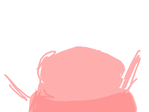 - hi -