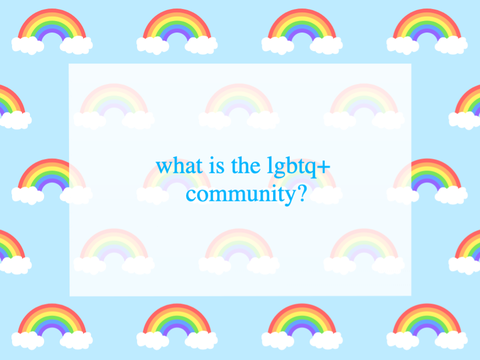 What is the LGBTQ+ community?