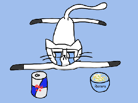 Robert the College Cat