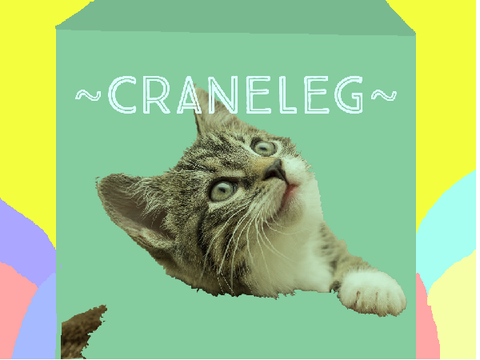 Welcome to My Profile!