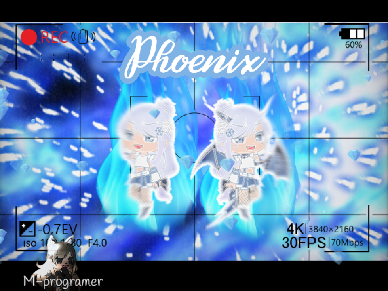 Phoenix GLMV