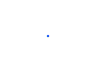 Optical Illusions