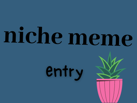 niche meme entry ˊˎ-