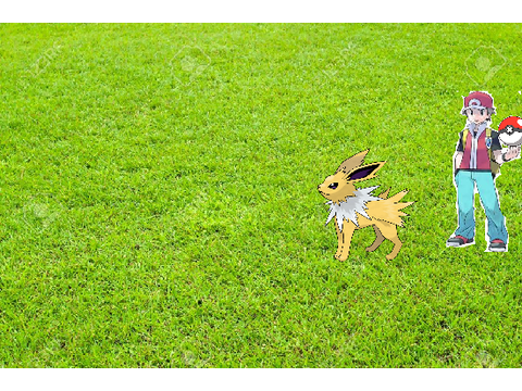  Pokemon catch!