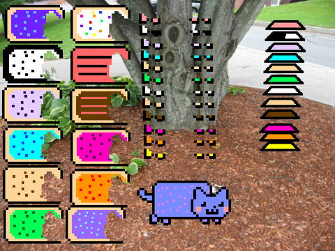 Donut cat dress up.