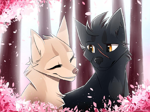 ❝ ɪ ᴄᴀɴ'ᴛ ʟᴇᴛ ʏᴏᴜ ɢᴏ, ❞