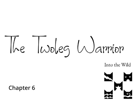 The Twoleg Warrior (Chapter 6) A Warrior Cat FanFiction 