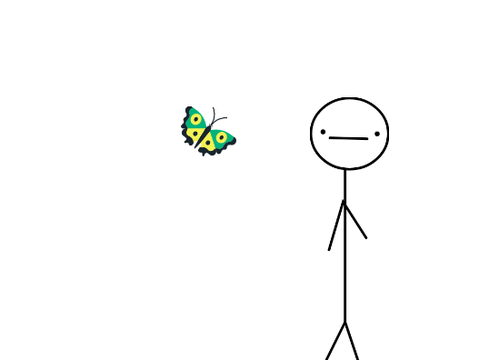 the butterfly