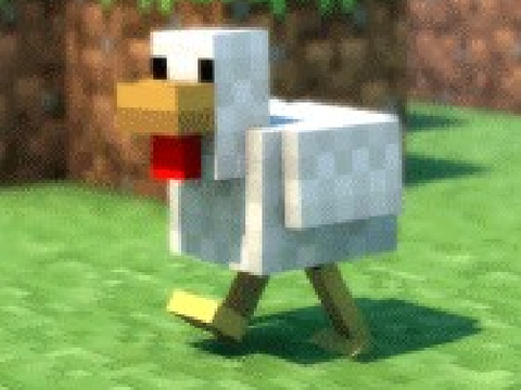 Chicken xD