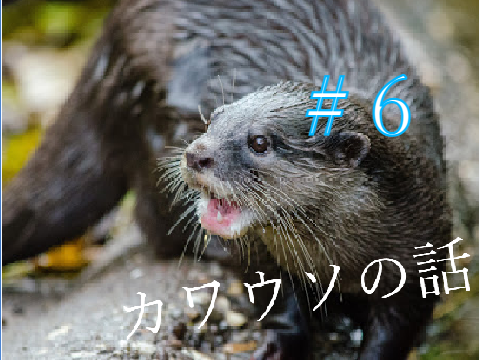 カワウソの話　＃6　カナダカワウソの生態