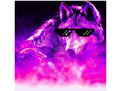 Intro contest for nateboy1