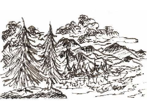 Mountain Valley
