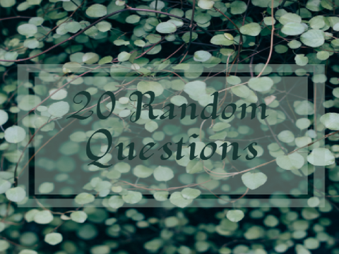 20 random questions! remix