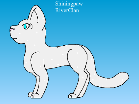 Shiningpaw | TRC
