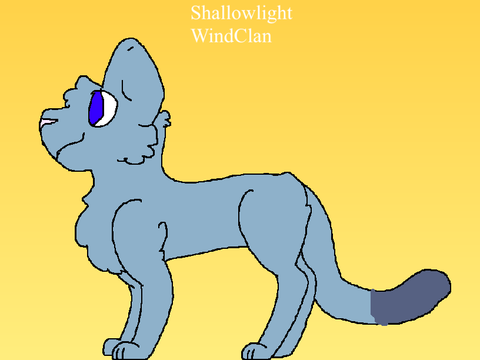 Shallowlight | TRC