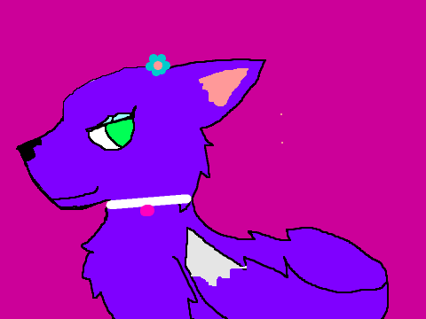 Unicornk Entry