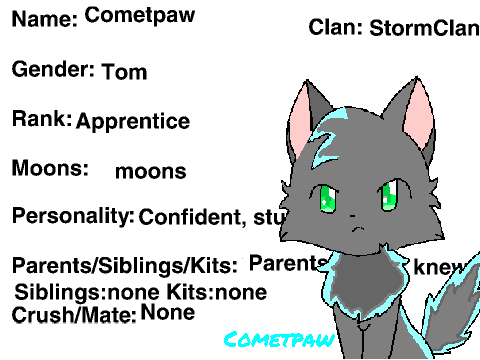 StormClan Rp form