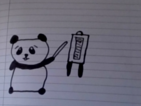 professor Mr.Panda
