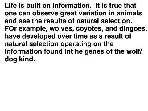 More Evidence Against Evolution