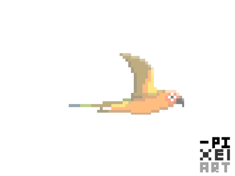 PAS | Parrot