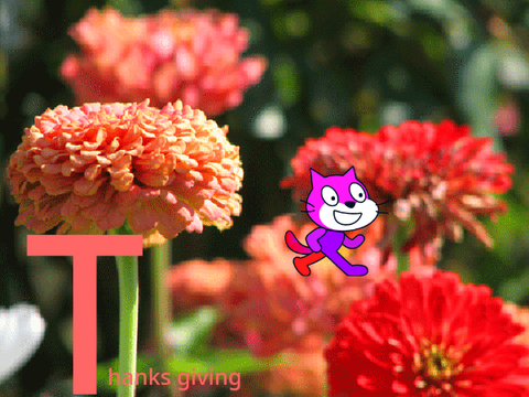 thanks giving
