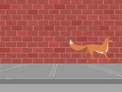 Hit the Fox