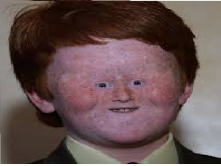 Face reveal (Not my real face its a joke)