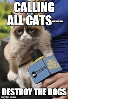 Funny memes! With song in background!