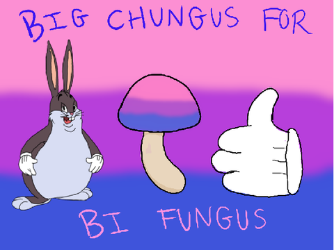big chungus for bi fungus