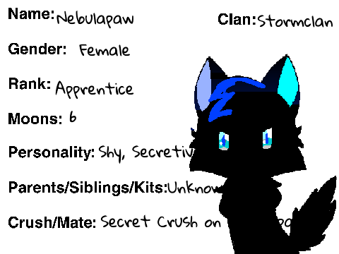 Stormclan-Nebulapaw
