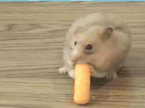 Nom nom nom Nom nom nom Nom nom nom Nom nom nom