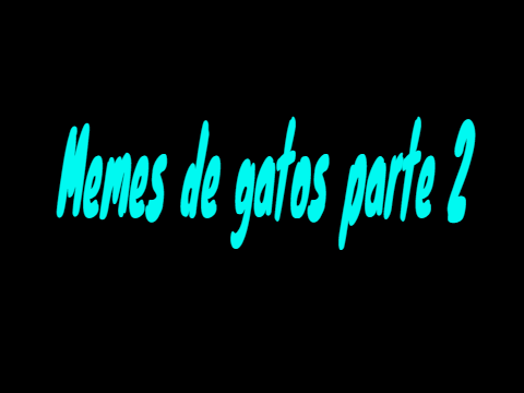 Memes de gatos (Parte 2)