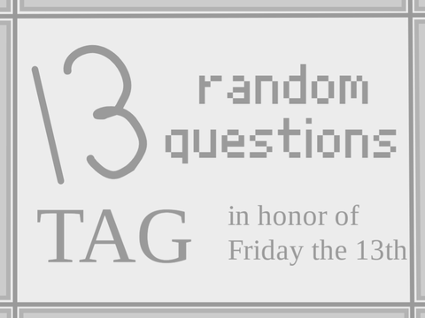 13 Random Questions [ Tag ]